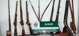 Detido em Tondela por posse ilegal de armas
