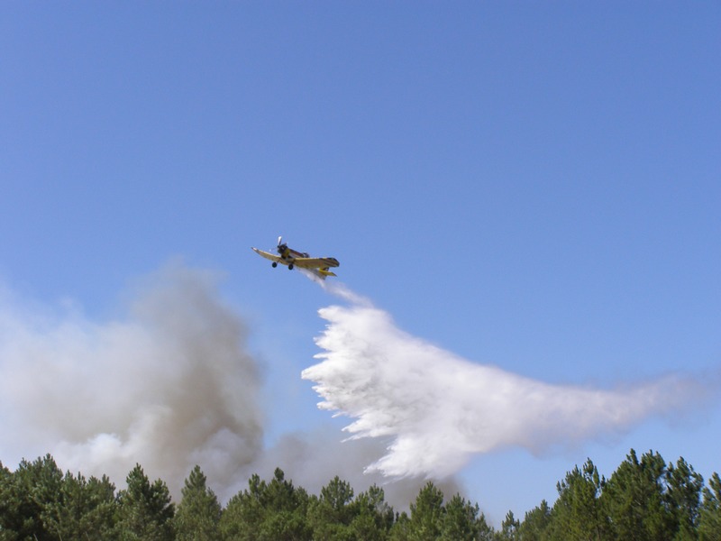 Incêndios em Nelas também já foram dominados