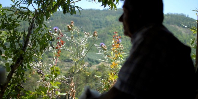 António Afonso Jorge, o autarca de Avô que se sentia impotente para resolver alguns problemas, “não conseguia mentir às pessoas” e acabou por se demitir para curtir a vida