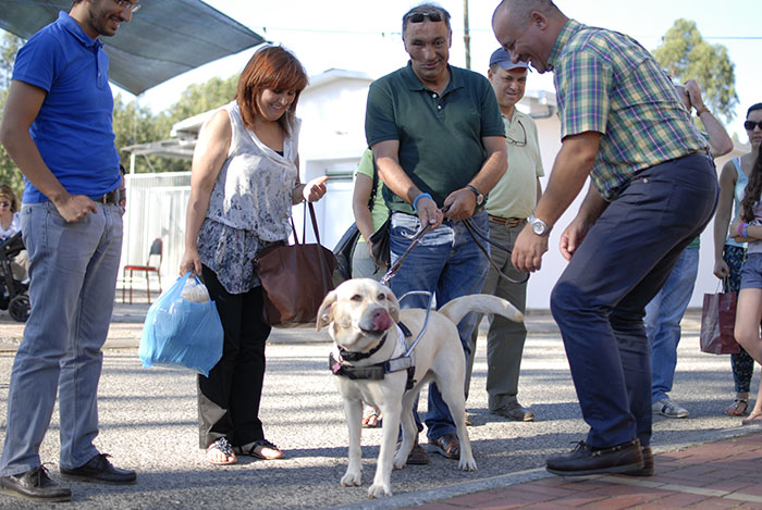 Escola de Mortágua auxilia invisuais com cães-guia, mas a espera situa-se entre os três e os quatro anos