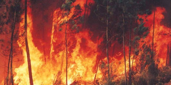 Fogo em duas localidades do concelho de Oliveira do Hospital já foi dominado