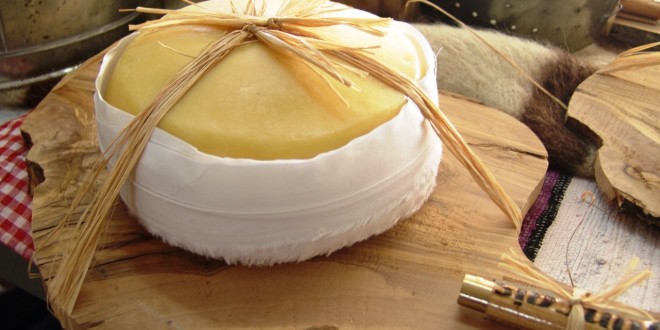 O sabor, não ocupa lugar (queijo da serra)