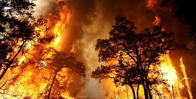 Fogo lavra em Figueira de Castelo Rodrigo, incêndio no Carregal do Sal dominado