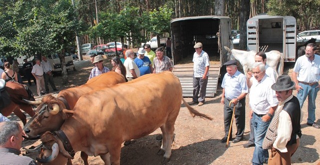 FICABEIRA em Arganil promove o que de autêntico se faz no concelho e promete muita animação
