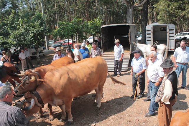 FICABEIRA em Arganil promove o que de autêntico se faz no concelho e promete muita animação
