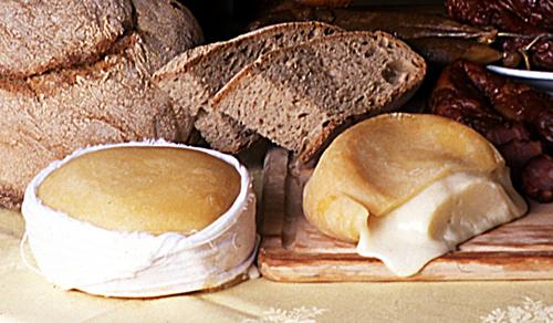 Município de Oliveira do Hospital que homenagear as mulheres que fazem o queijo Serra da Estrela