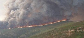 Dois incêndios activos em Nelas, depois de extintos os de COIMBRA E GUARDADois incêndios activos em Nelas, depois de extintos os de COIMBRA E GUARDA