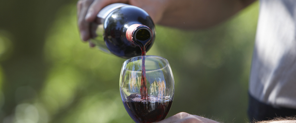 Produção de vinho do Dão pode ter quebra de 25 por cento este ano