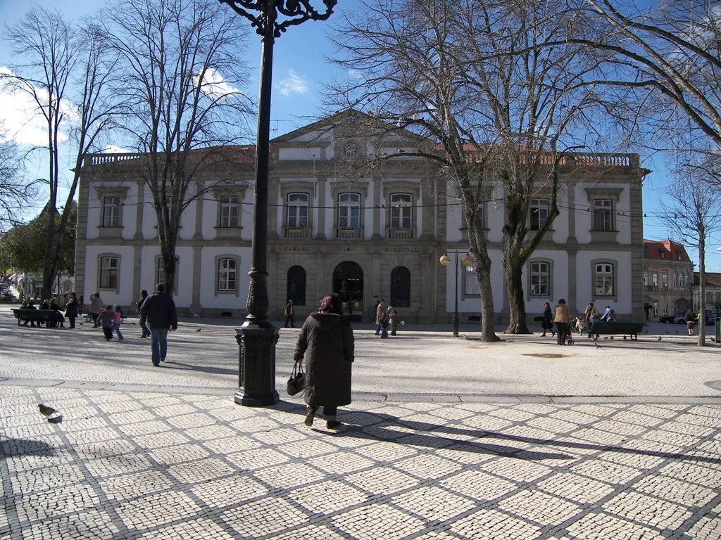 Autarquia de Viseu anuncia alterações na sua intervenção na educação com o programa Viseu Educa