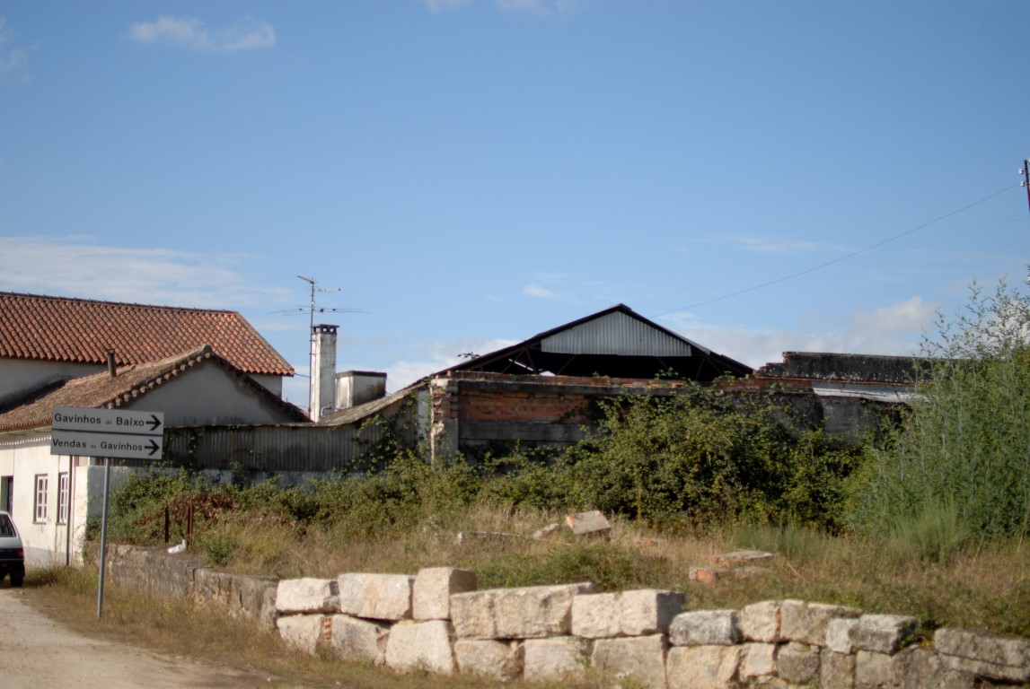 Habitantes no lugar do Soito indignados com falta de limpeza de terreno junto a habitações