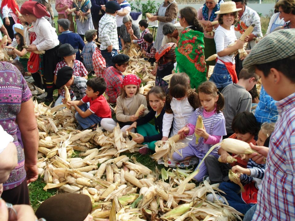 Meruje regressa ao passado para lembrar o ciclo tradicional do pão aos mais novos