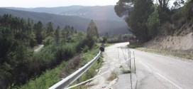 Cedência de asfalto em estrada Municipal que liga a Estrada nº 17 a duas aldeias “há demasiado tempo” à espera de reparação