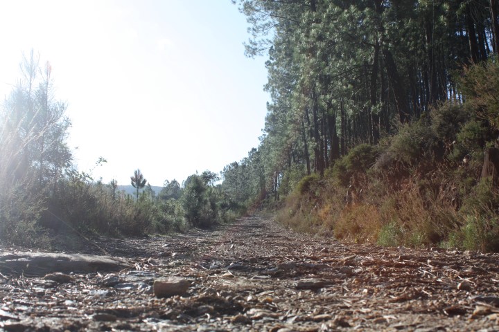 População continua indignada e a reclamar dos maus acessos da Quinta da Tapada