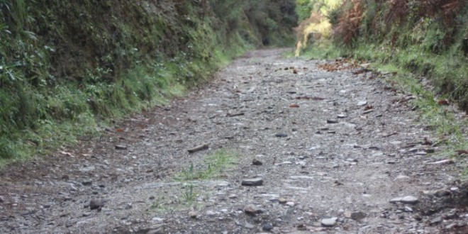 Membros da Assembleia de Freguesia do CDS em Alvôco das Várzeas criticam inércia da Junta sobre estrada da Tapada