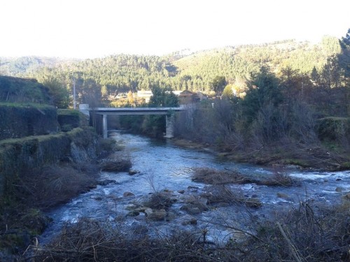 10877450_881949408491651_176859638_n (Medium)