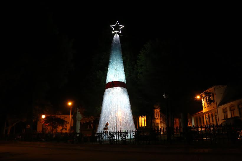 Travanca de Lagos orgulhosa da sua árvore ecológica e jovens esperam pelo Guiness