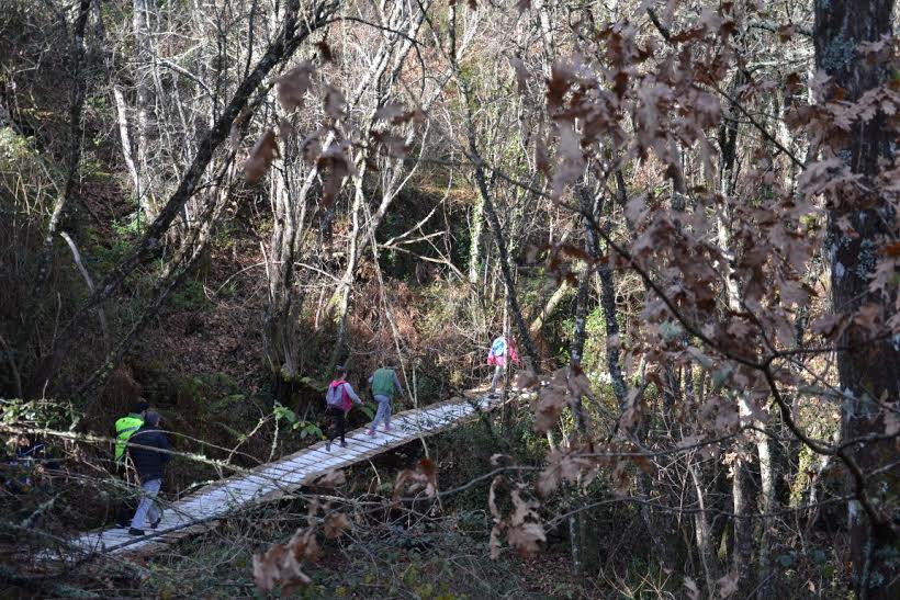 Primeira Caminhada de Inverno junta mais de duas dezenas de participantes