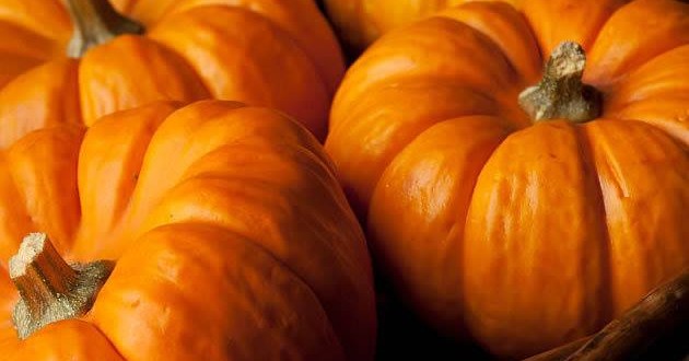 Festa do Queijo Serra da Estrela de Oliveira do Hospital tem concurso para a maior abóbora