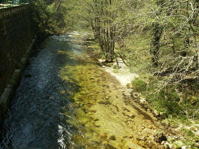 CISE promove plantação de árvores autóctones na Mata do Desterro