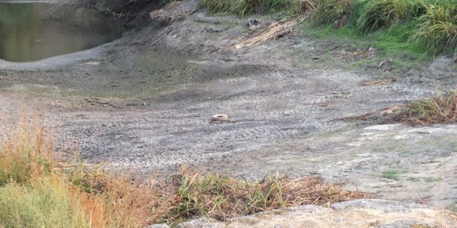 Açude da Ribeira Ervedal